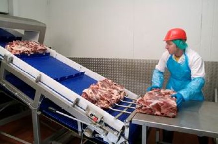 Abattoir cleans