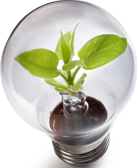 Environmental